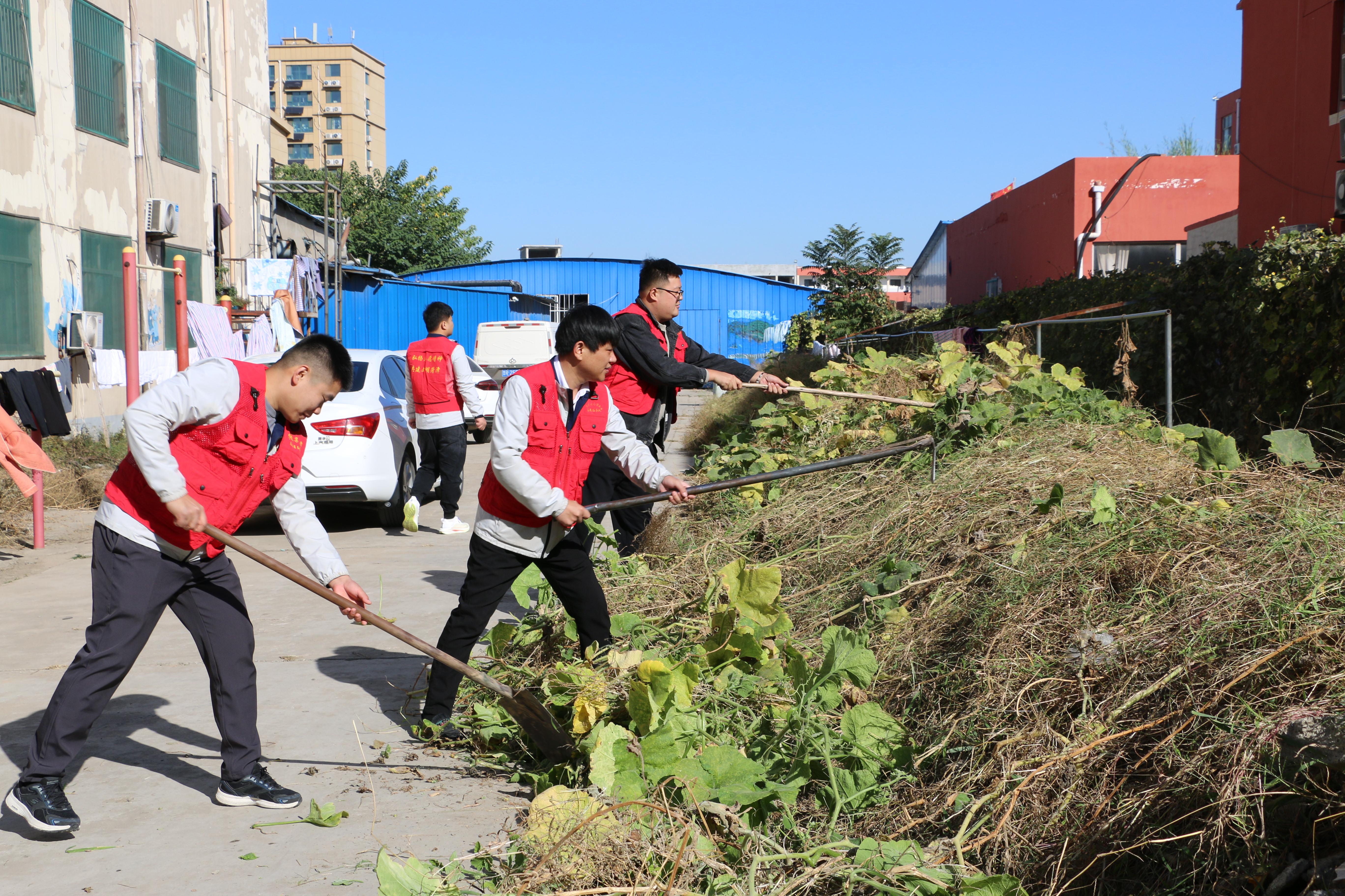 IMG_2971.JPG IMG_2971.JPG